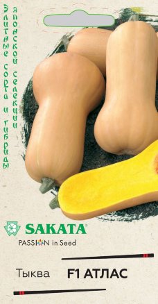 Тыква Атлас F1 мускатная 5шт (Гавриш)