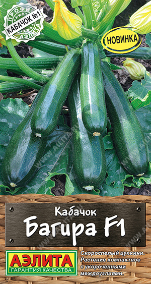 Кабачок Багира F1 цуккини 5шт (Аэлита)