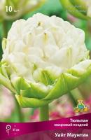 Тюльпан Уайт Маунтин 11/12 7шт (Поиск)