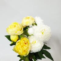 Цветы Пионы SBPK/471 3 цветка (96шт) (СС)