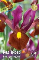 Ирис Ред Эмбер (Голландский) 6/7 10шт (Колорлайн)