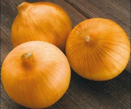 Лук севок Сибирский однолетний 14/21 мешок 20кг (Россия)