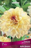 Георгина Дабл Джилл 1шт (Поиск)