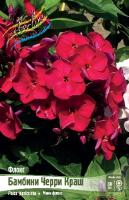 Флокс Бамбини Черри Краш 1шт (Колорлайн)