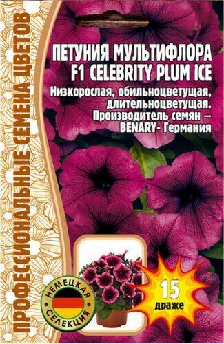 Петуния Celebrity Plum Ice F1 мультифлора однолетник 15шт (Ред.сем)