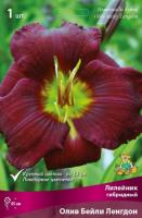 Лилейник Олив Бейли Ленгдон 1шт (Поиск)