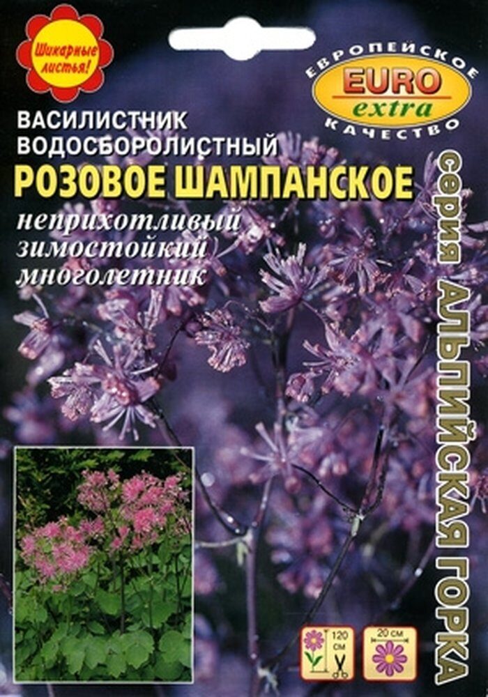 Василистник водосборолистный розовое шампанское. Василистник водосборолистный. Василистник Делавея семена.