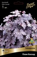 Гейхерелла Плам Каскад 1шт (Поиск)