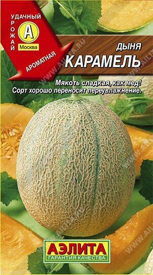 Дыня Карамель 1г (Аэлита) Дыня Карамель 1г (Аэлита)