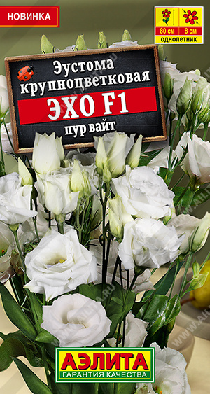 Эустома Эхо Пур вайт F1 крупноцветковая 5шт (Аэлита)