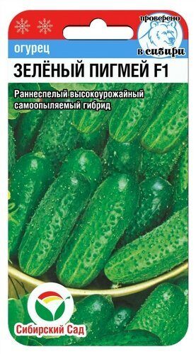 Огурец Зеленый пигмей F1 7шт (Сиб сад)