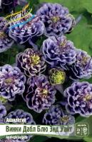 Аквилегия Винки Дабл Блю энд Уайт 2шт (Колорлайн)