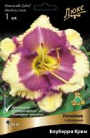 Лилейник Блуберри Крим 1шт (Поиск)