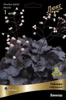 Гейхера Бинош 1шт (Поиск)