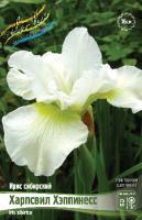 Ирис Харпсвил Хэппинесс (Сибирский) 1шт (Колорлайн)