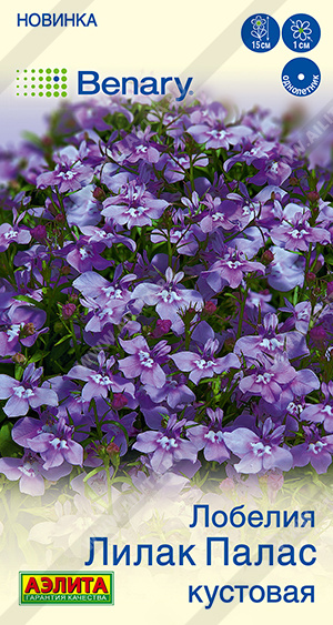 Лобелия Лилак палас кустовая 5шт (Аэлита)