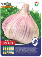 Чеснок Гигант фракция 60+ (УПАКОВКА +/- 0.5кг) (Сиб сад)