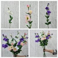 Ветка Эустомы в ассортементе SBPK/2025-24 (СС)