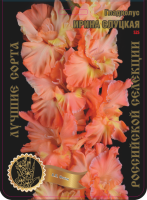 Гладиолус Ирина Слуцкая 525,Фотин Экстра 7шт (Ф)