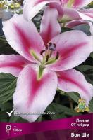 Лилия Бон Ши (ОТ гибрид) 12/14 3шт (Поиск)