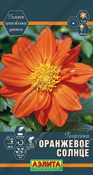 Георгина Оранжевое солнце махровая 7шт (Аэлита) Георгина Оранжевое солнце махровая 7шт (Аэлита)