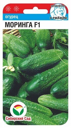 Огурец Моринга F1 7шт (Сиб сад)