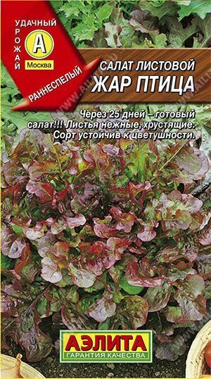 Салат Жар птица листовой 0,5г (Аэлита)