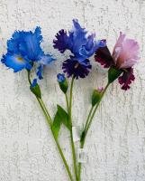 Ветка Ирис SBO-206 2 цветка  1шт (СС)