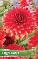 Георгина Гарден Уандер 1шт (Колорлайн)
