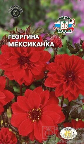 Георгина Мексиканка однолетник 0,2г (Седек) Георгина Мексиканка однолетник 0,2г (Седек)