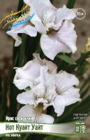 Ирис Нот Куайт Уайт (Сибирский) 1шт (Колорлайн)