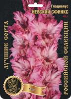 Гладиолус Невский Сфинкс 475,Фотин Экстра 7шт (Ф)