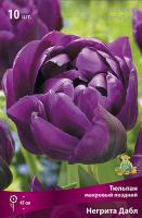 Тюльпан Негрита Дабл 11/12 10шт (Поиск)