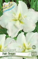 Ирис Уайт Лейдиз (Мечевидный) 1шт (Колорлайн)