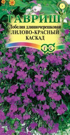 Лобелия Лилово-красный каскад длинночерешковая однолетник 0,01г (Гавриш)