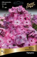 Флокс Геркулес 1шт (Поиск)