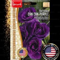 Эустома Can Can Purple однолетник 4шт (Ред.Сем)