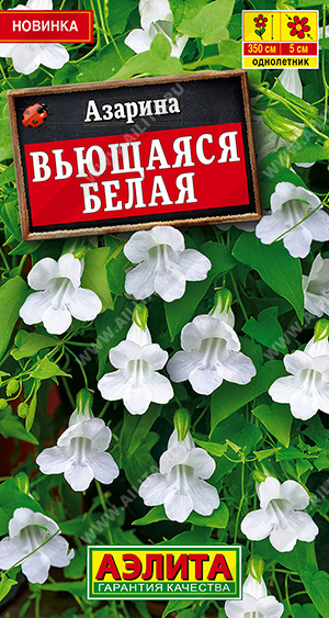 Азарина вьющаяся Белая однолетник 5шт (Аэлита)