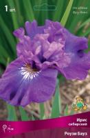 Ирис Роузи Бауз (Сибирский) 1шт (Поиск)