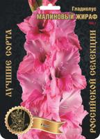 Гладиолус Малиновый Жираф 564,Фотин Экстра 7шт (Ф)