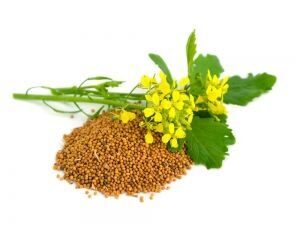 Горчица Весовая