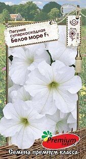 Петуния Белое море F1 суперкаскадная 10шт (Премиум)