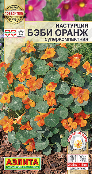 Настурция Бэби Оранж суперкомпактная однолетник 4шт (Аэлита) Настурция Бэби Оранж суперкомпактная однолетник 4шт (Аэлита)