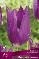 Тюльпан Йуми но Мурасаки 11/12 10шт (Поиск)