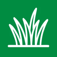 Газонные травы Газонные травы