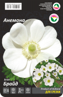 Анемона Брайд 5/6 15шт (Сиб сад)