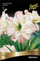 Амариллис Афродита 24/26 1шт (Поиск)