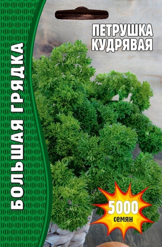 Петрушка Кудрявая Большая грядка 5г (Ред.сем)