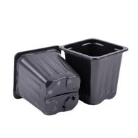 Горшок 0,2л 7*7*7 ЧЕРНЫЙ КВ (Амина)(3200шт)