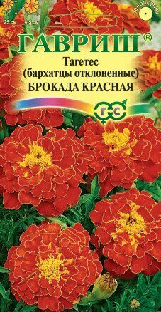 Бархатцы Брокада Красная однолетник 0,3г (Гавриш)